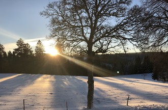 Chez Marie Noëlle à Saulcy