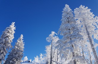 Pascal en haut du Téléski des Pointes