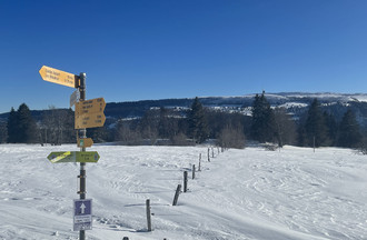 Pierre à Mont-Crosin