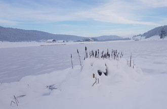 Martine au lac des Taillères