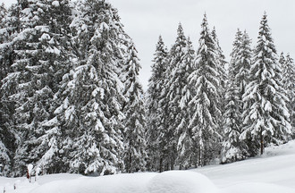 Anne à la Vallée de Joux