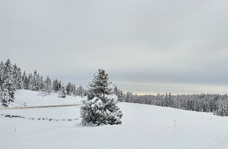 Anne toujours en balade à la Vallée de Joux