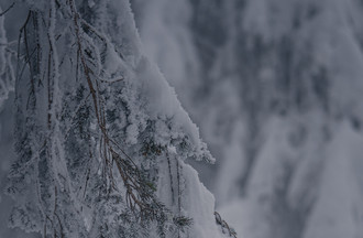 Guillaume à La Vue-des-Alpes