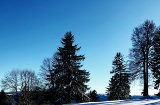 Marie à la Montagne de Moutier