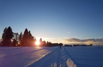 Virgile au Chalet-Neuf à Courtelary