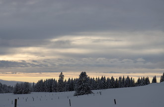 Véronique à Grenchenberg