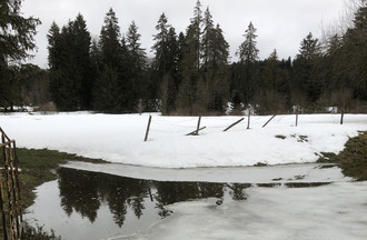 Chantal tristement témoin de la fonte des neiges aux Seignes près des Chenevières