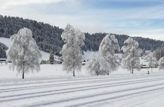 Tamara au Col-des-Roches
