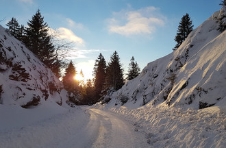 Laurence à la Montagne-du-Droit