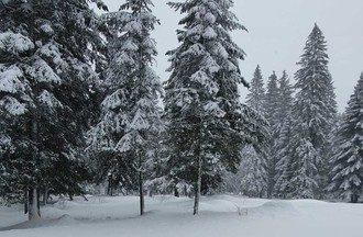 Photo du défi