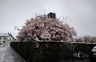 Photo du défi