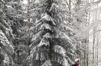 Photo du défi