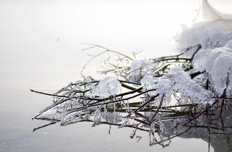 Photo du défi