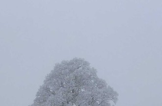 Photo du défi