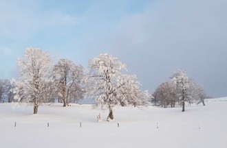 Photo du défi