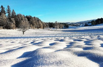 Photo du défi