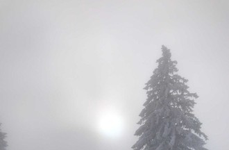 La photo gagnante du défi choisie par Daniel