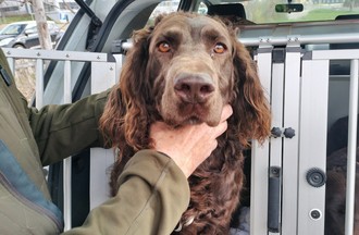 Téa 8 ans