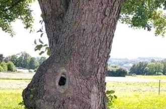 Photo du défi