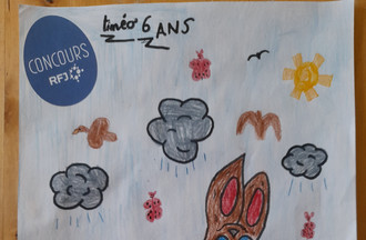 Timeo, 6 ans