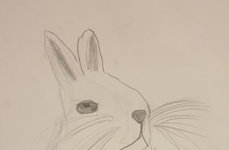 Amélia, 11 ans