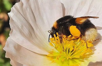La photo gagnante du défi, choisie par Eric