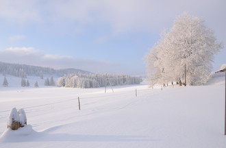 Vue entre Le Prédame et Lajoux