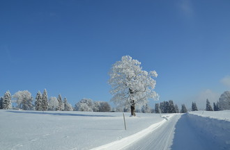 La route de Mont-Crosin