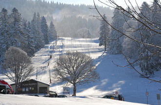 Les Savagnières