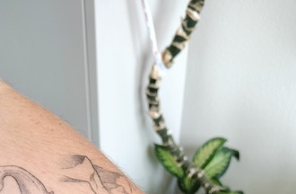 Ses tatouages orque et baleine