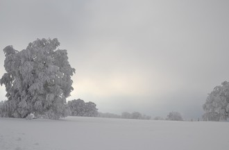 Faux-d'Enson, Roche-D'or