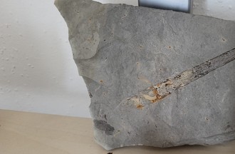 Thème du défi: des minéraux, fossiles, pierres, roches