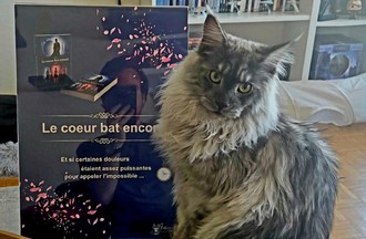 Son chat Aristote qui a donné son nom à sa maison d'édition