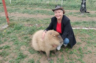 Le capybara Ronchonchon