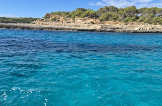 Comme un petit air de paradis