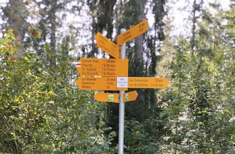 Les Charbonnières près des Sagnettes
