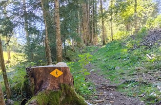 Sentier Glacière de Monlési