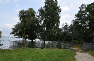 Le Landeron