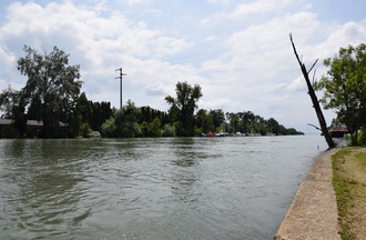 Le canal de la Thièle