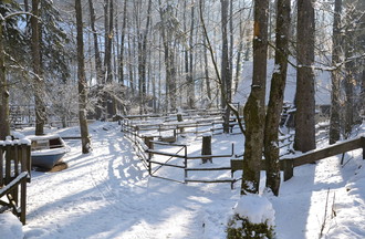 Un panorama nordique