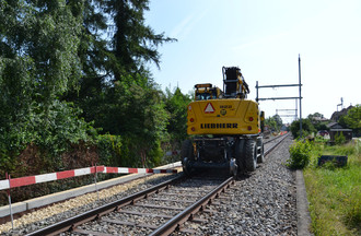 740638.jpg