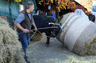 Jean-Daniel avec Pacotte Photo François Glories / Abacapress / M6