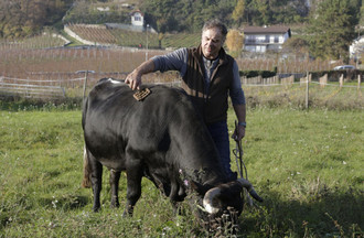Jean-Daniel avec Pacotte Photo François Glories / Abacapress / M6