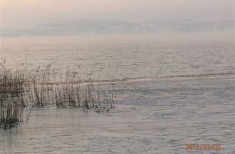 Description de l'image