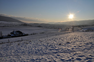 Description de l'image