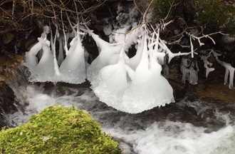 La photo gagnante du défi choisie par Catherine