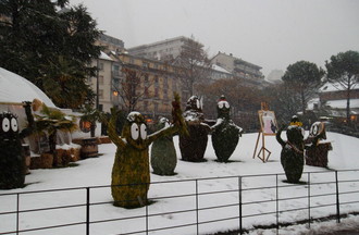 Description de l'image