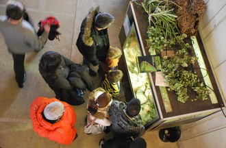 Reptiles du monde