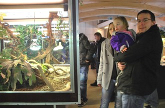 Reptiles du monde