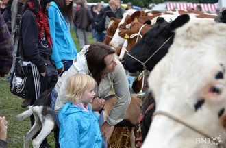 Foire de Chaindon 2011